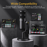 PD100 Podcast Dynamic XLR Microphone Kit
